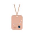 14K-rose-gold-Capricorn-Constellation-Charm-Necklace-45.jpg