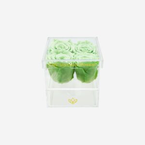 Acrylic 4 Drawer Box | Mint Green Roses