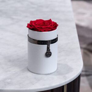 One in a Million Round White Box | Charm Edition | Red Rose