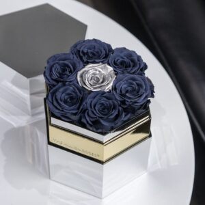 One in a Million Mirror Silver Hexagon Box | Smoky Blue & Silver Roses