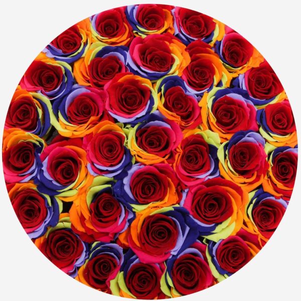 2_c18e2b31-a7b7-4602-b5e9-509b0c20cb49.jpg 2_c18e2b31-a7b7-4602-b5e9-509b0c20cb49.jpg