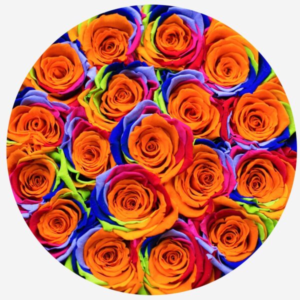 2_d33fa010-690e-4e08-b11a-e850419954a5.jpg 2_d33fa010-690e-4e08-b11a-e850419954a5.jpg