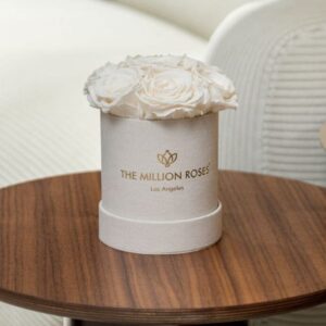 Basic Beige Suede Box | White Roses