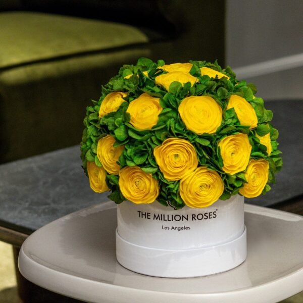 BASIC_36.jpg BASIC_36.jpg