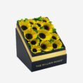 Blackbox_sunflower.jpg