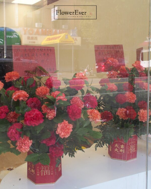 P1010203_1_6d675fb8-b75d-4d24-9a7e-50485560c5ec.jpg P1010203_1_6d675fb8-b75d-4d24-9a7e-50485560c5ec.jpg