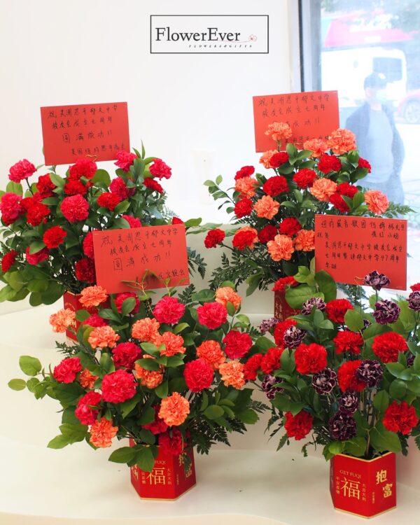 P1010208_1_cd2da22e-62dd-4175-9c5a-cd7651c14140.jpg P1010208_1_cd2da22e-62dd-4175-9c5a-cd7651c14140.jpg