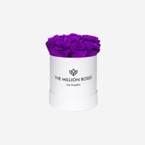 Basic White Box | Bright Purple Roses