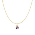 amethyst-birthstone-charm-necklace-gold.jpg