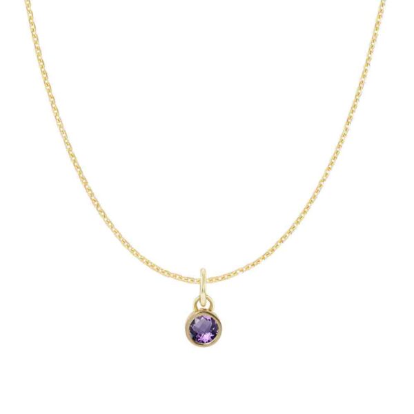 amethyst-birthstone-charm-necklace-gold.jpg