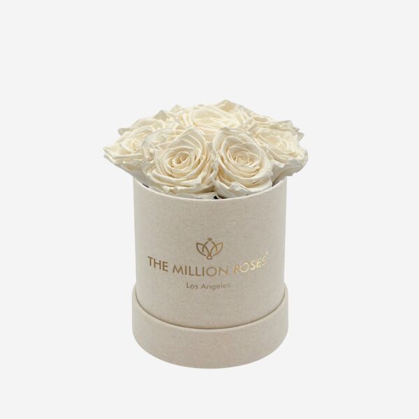 summersandbasic_white.jpg summersandbasic_white.jpg